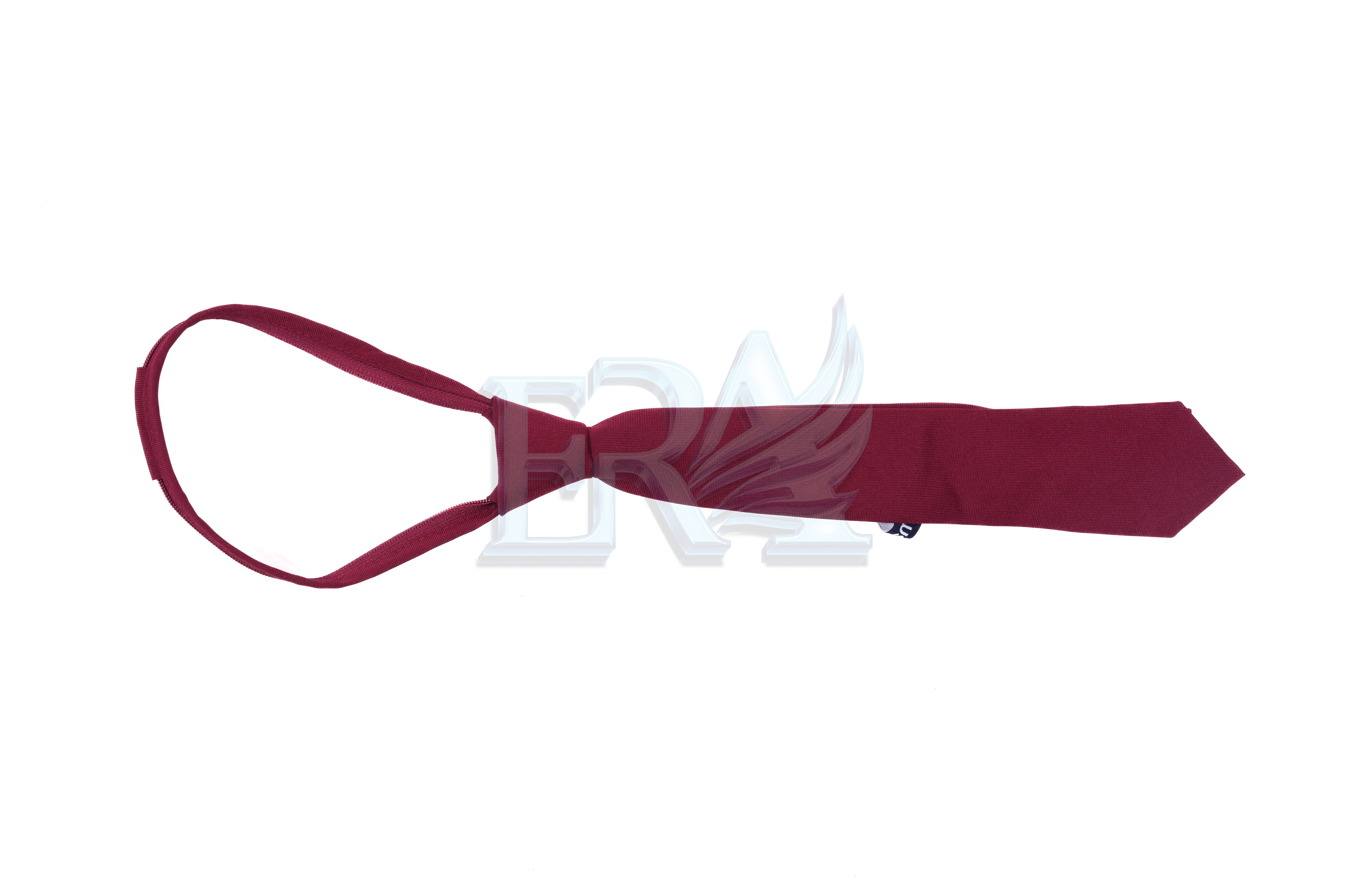 TNG00569.jpg