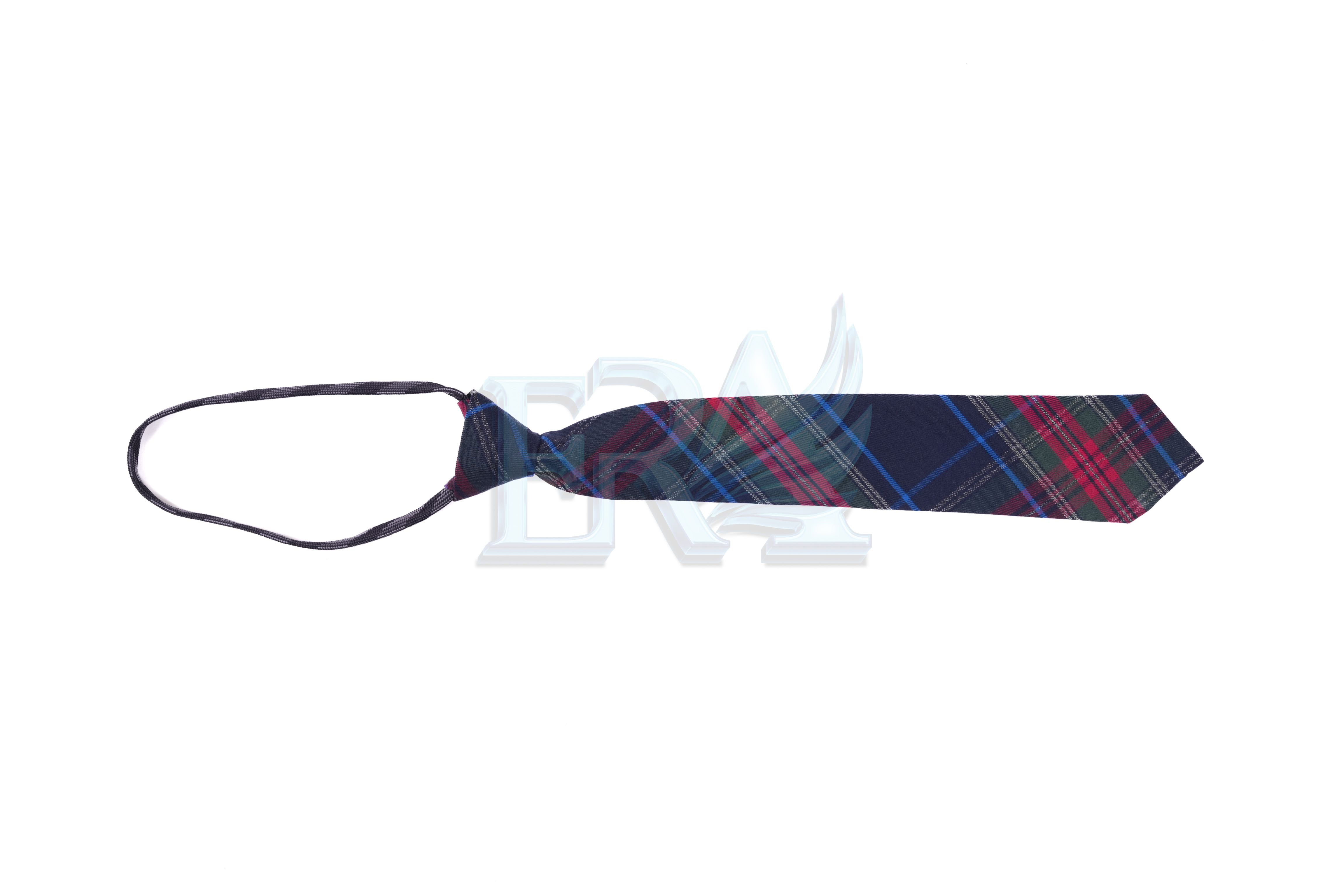 TNG00576.jpg