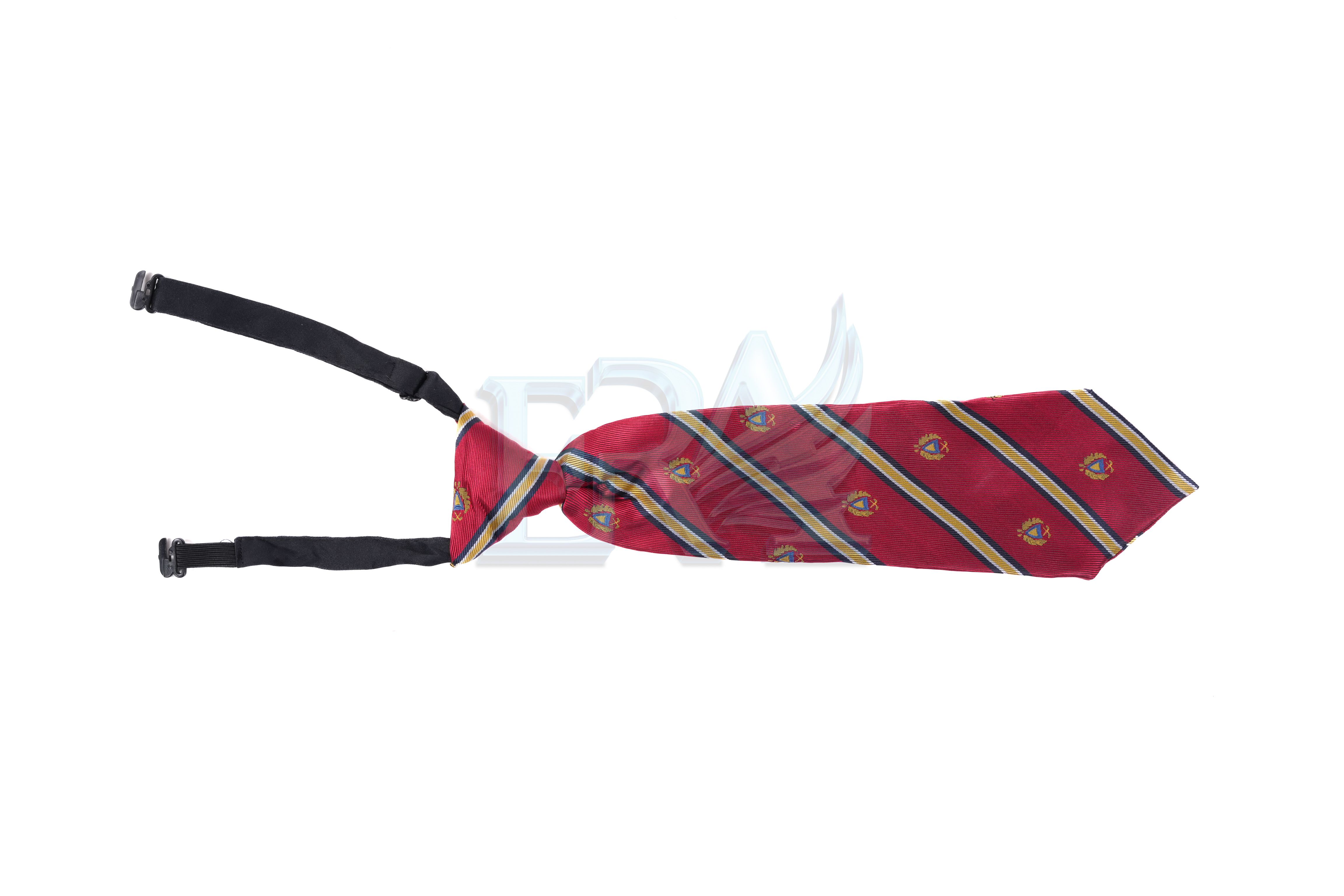 TNG00580.jpg
