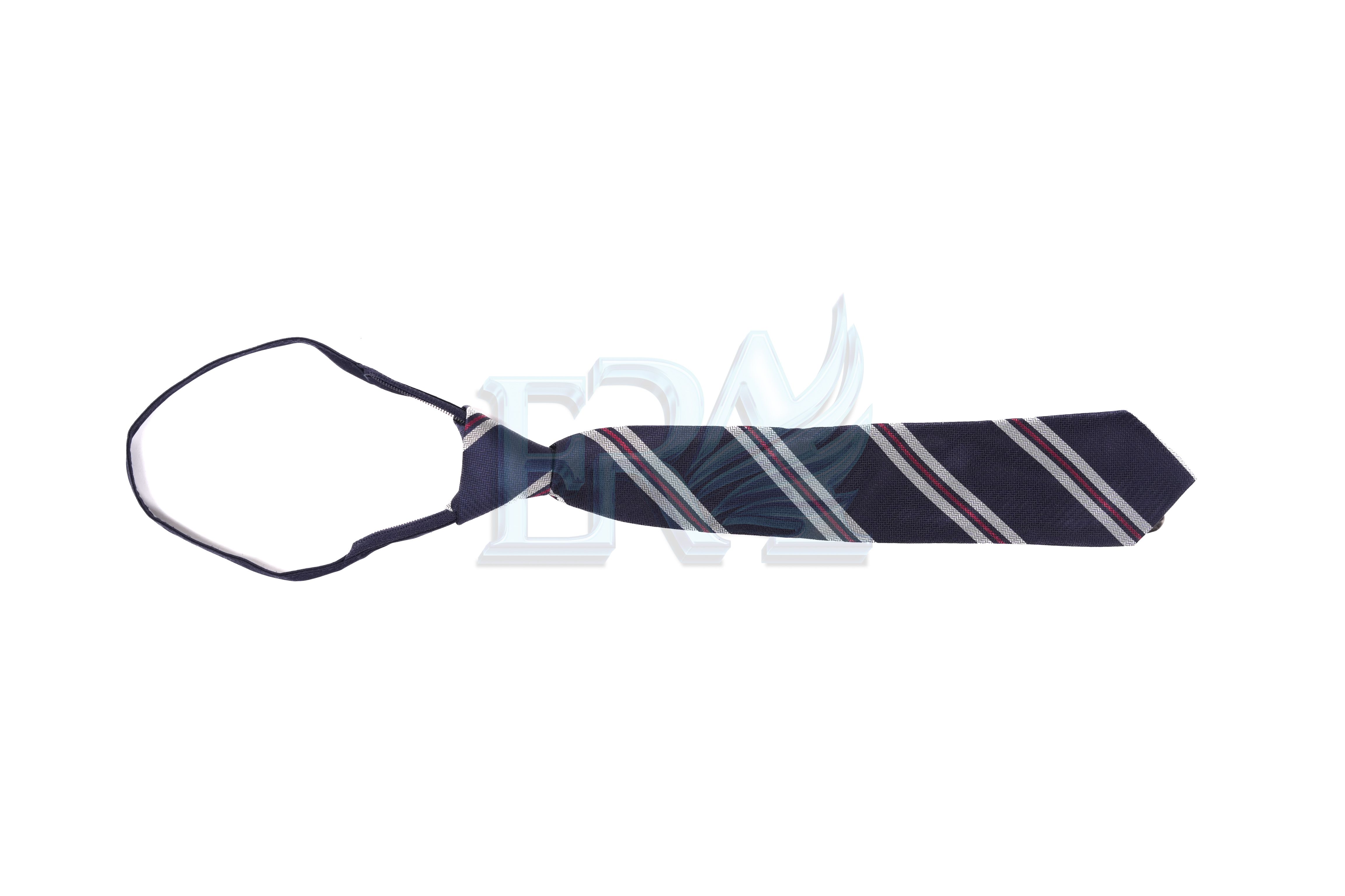 TNG00599.jpg