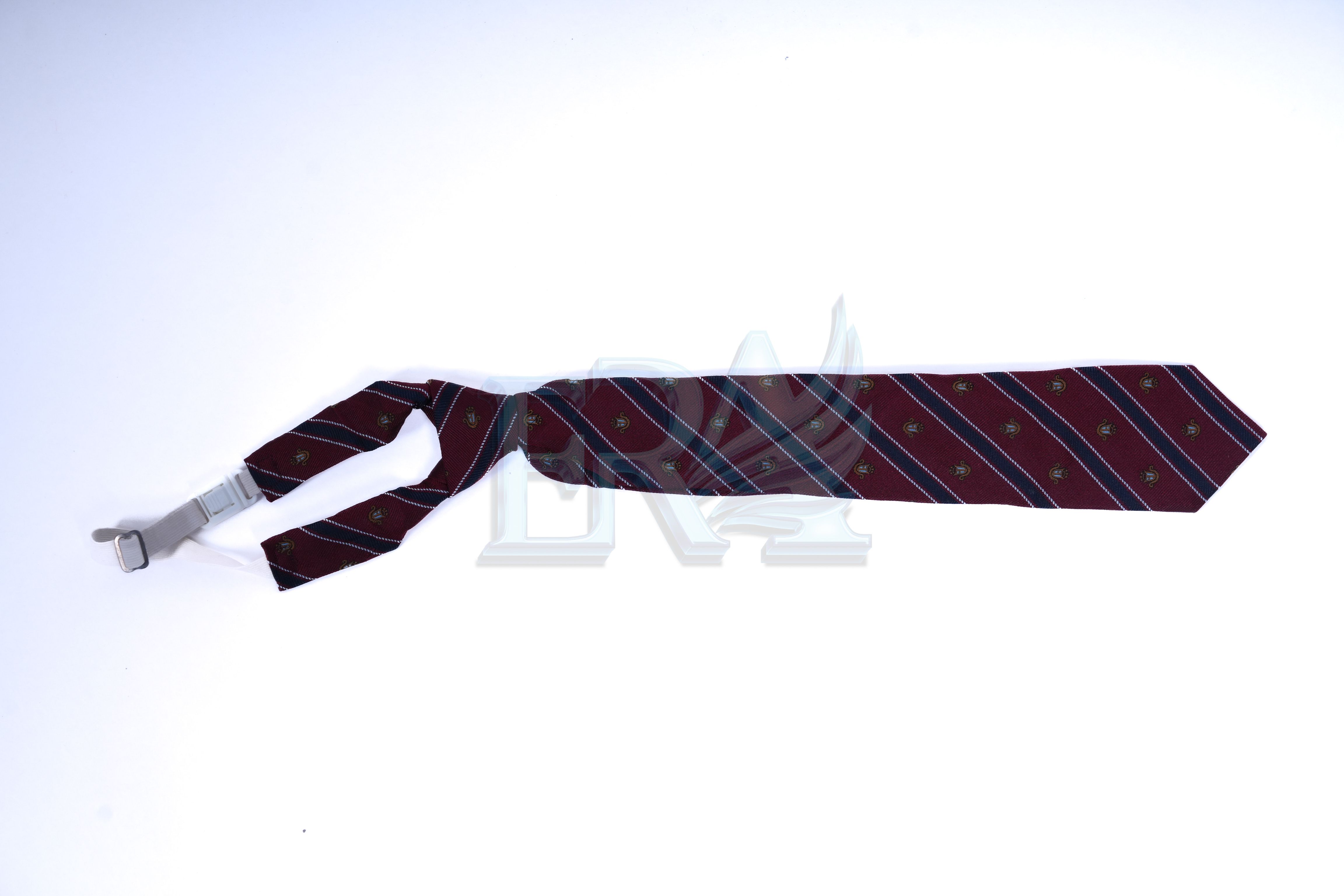 TNG01985.jpg