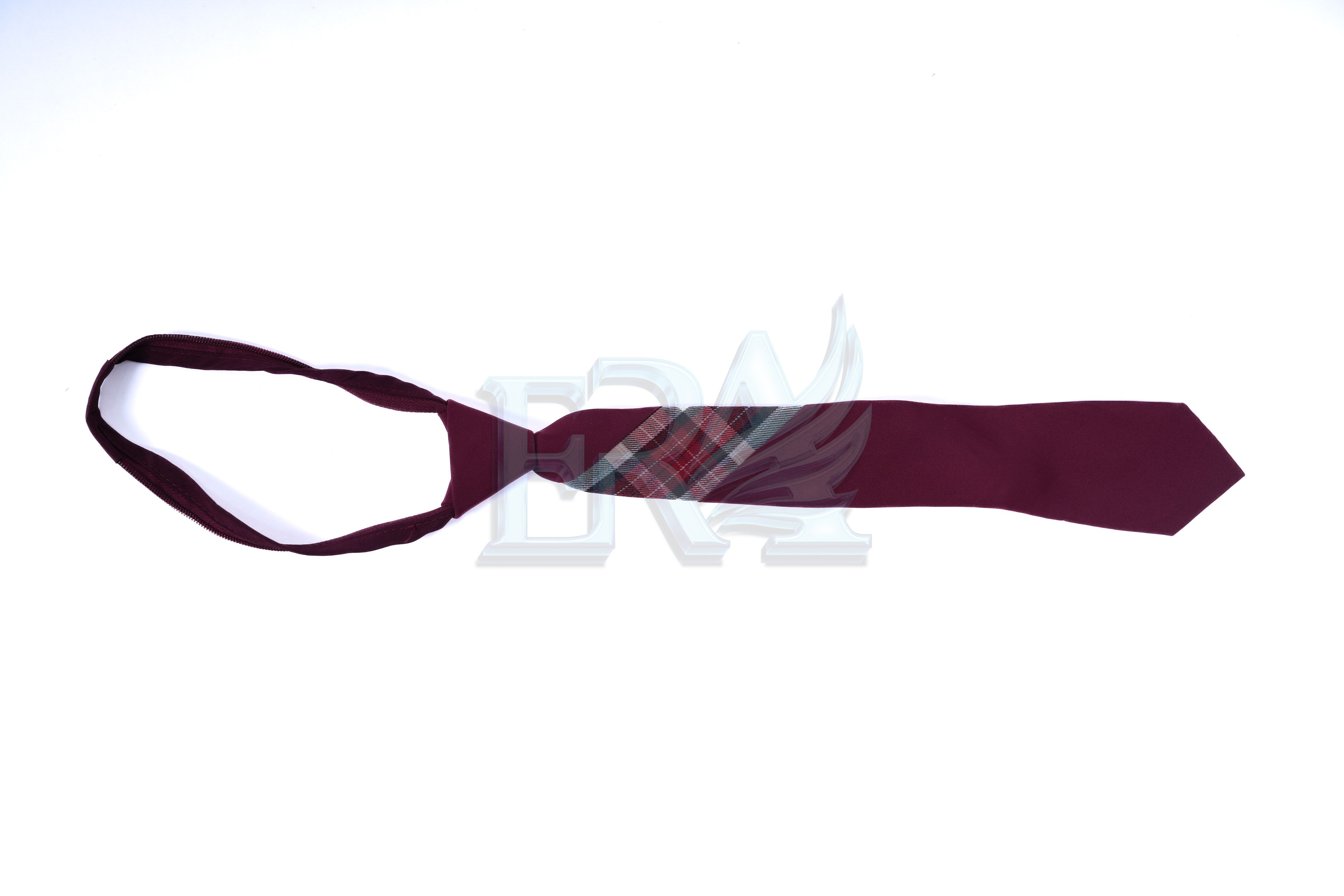 TNG01991.jpg