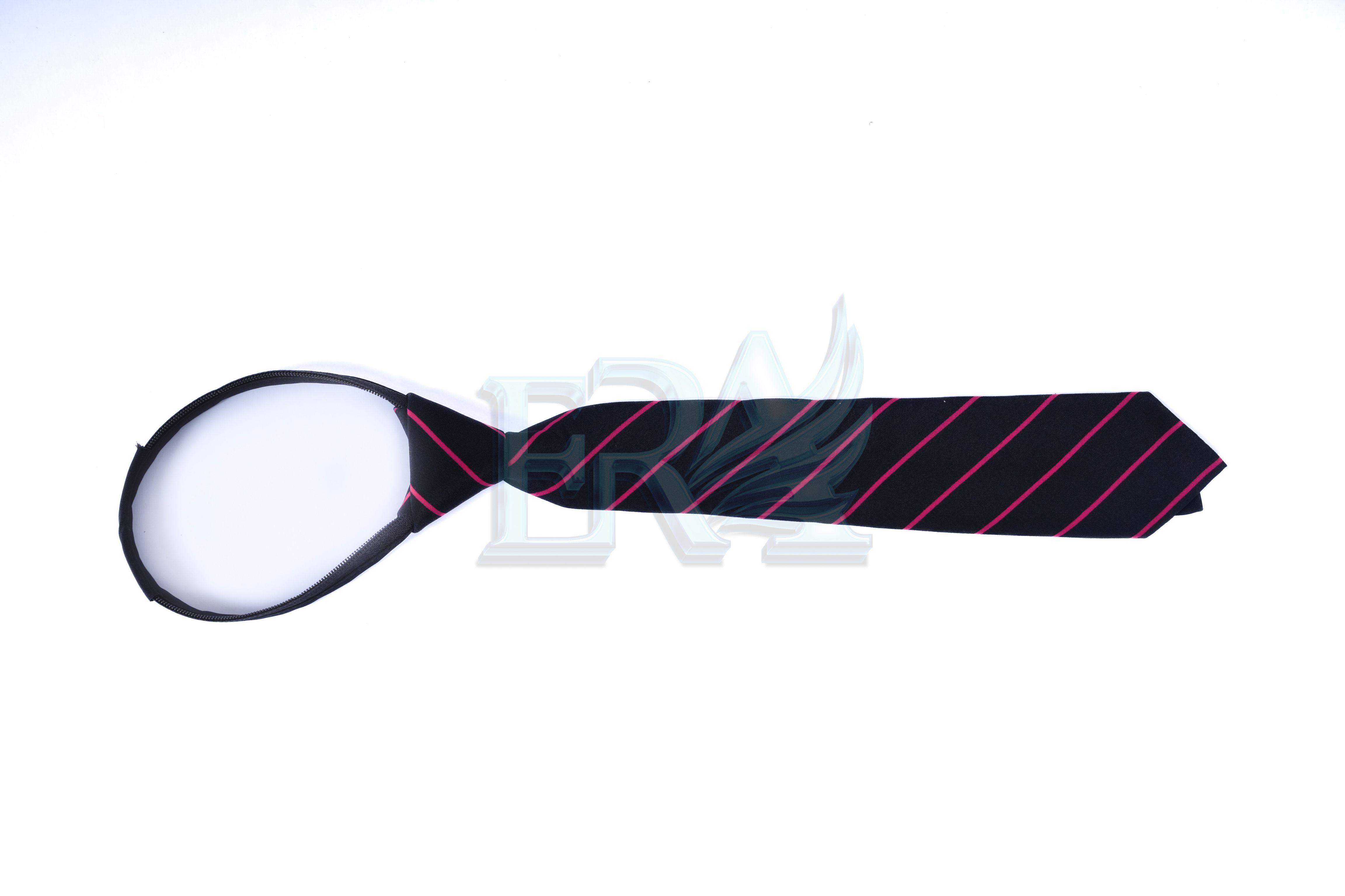 TNG01994.jpg