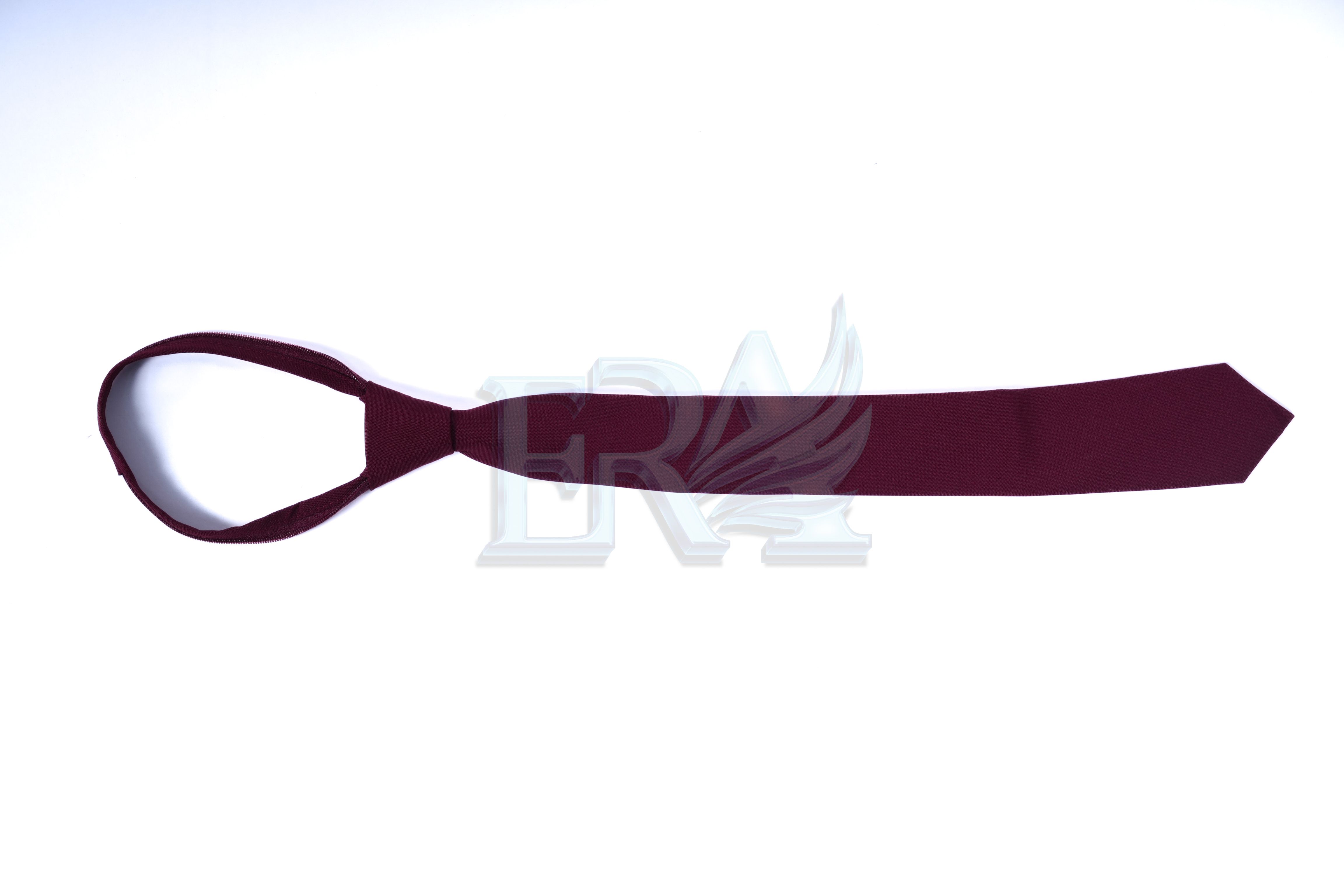 TNG01995.jpg