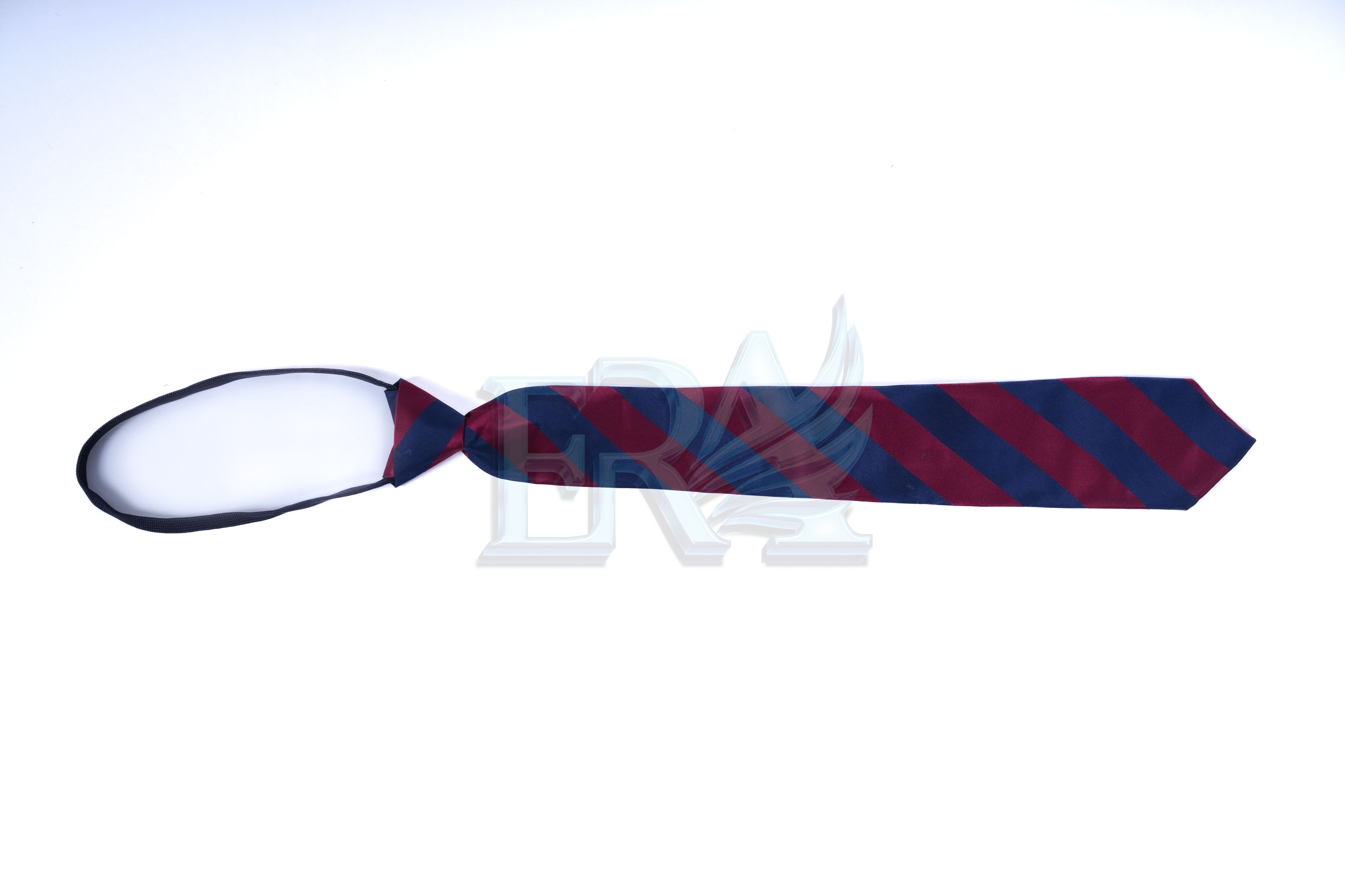 TNG01996.jpg