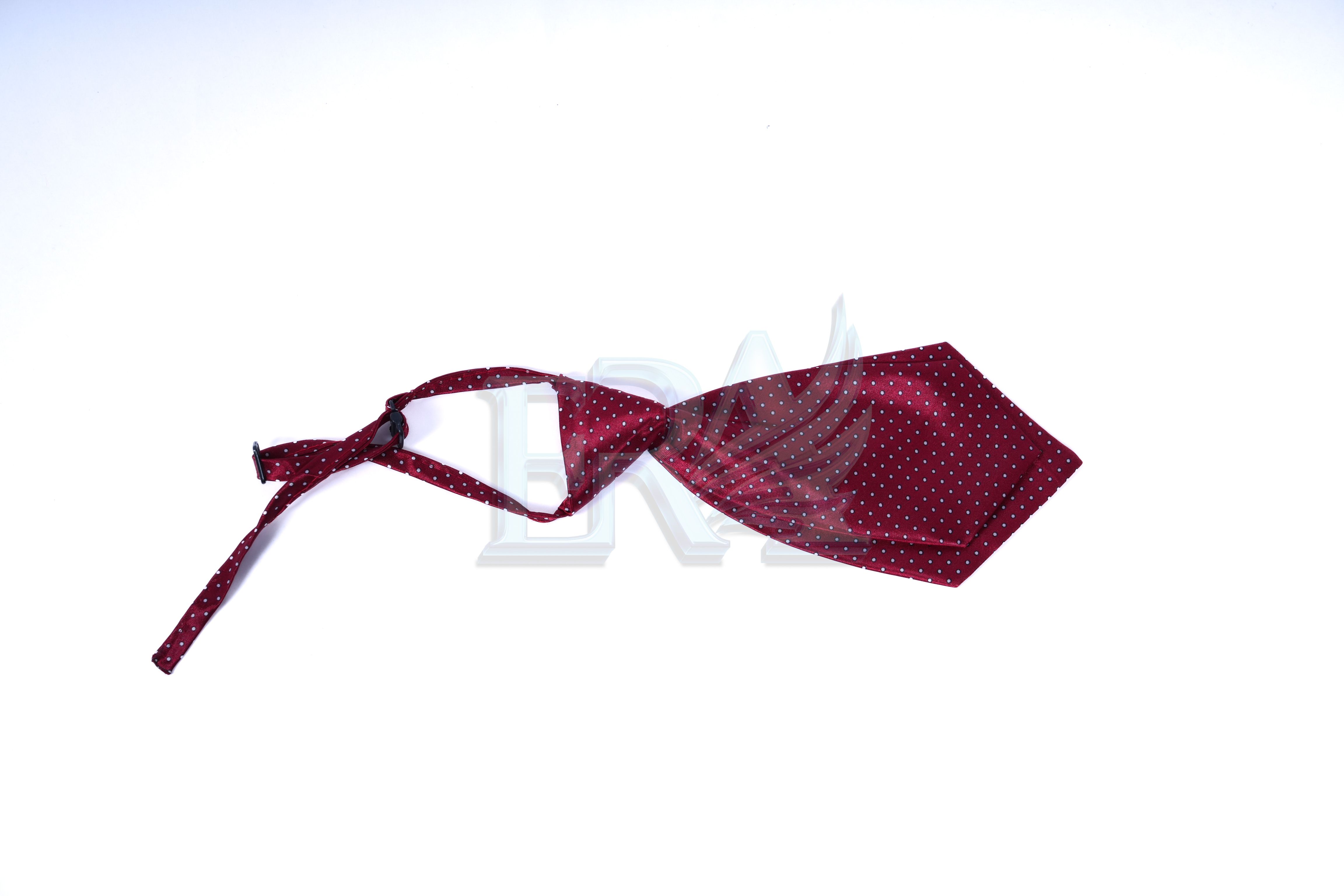 TNG02000.jpg