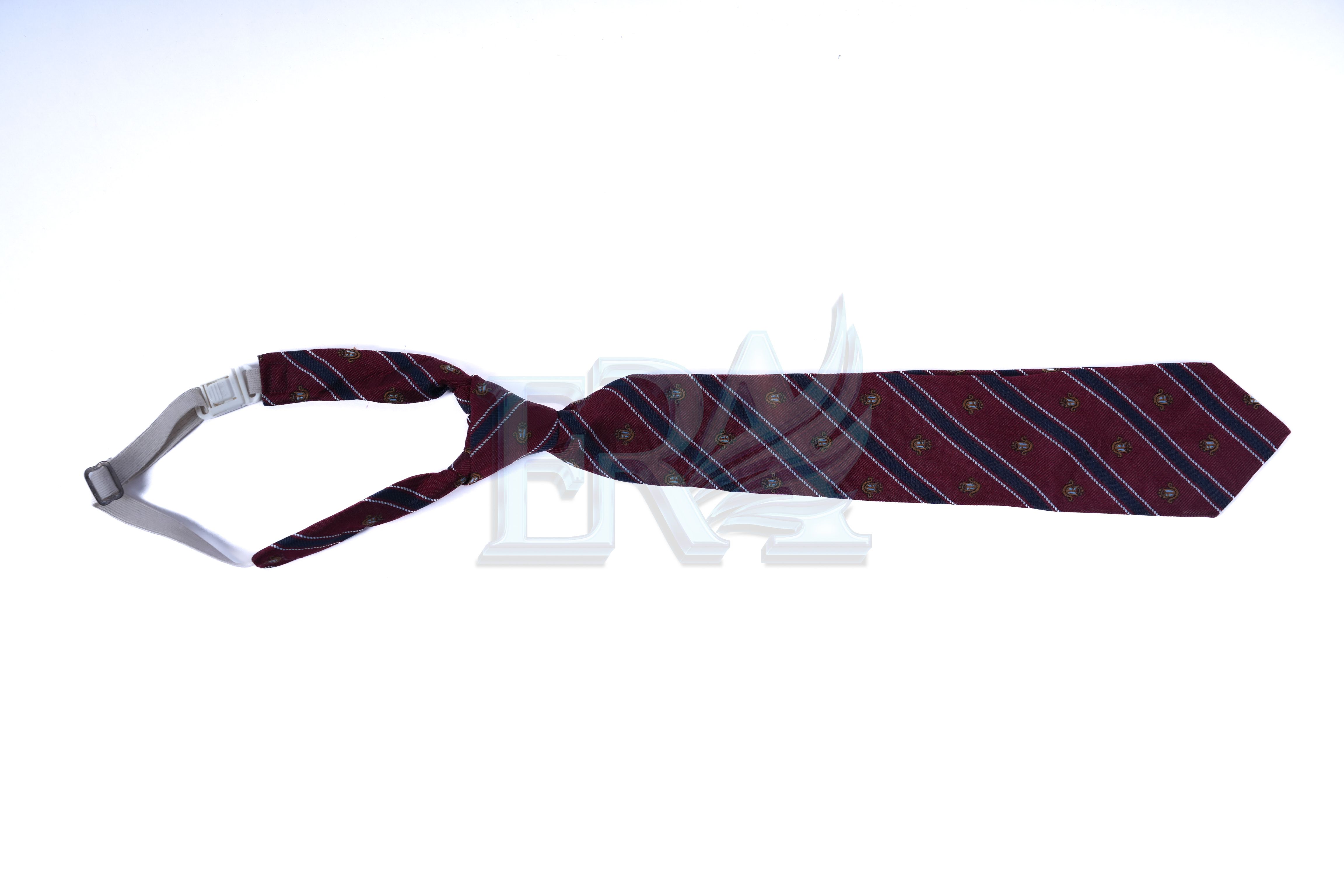 TNG02001.jpg