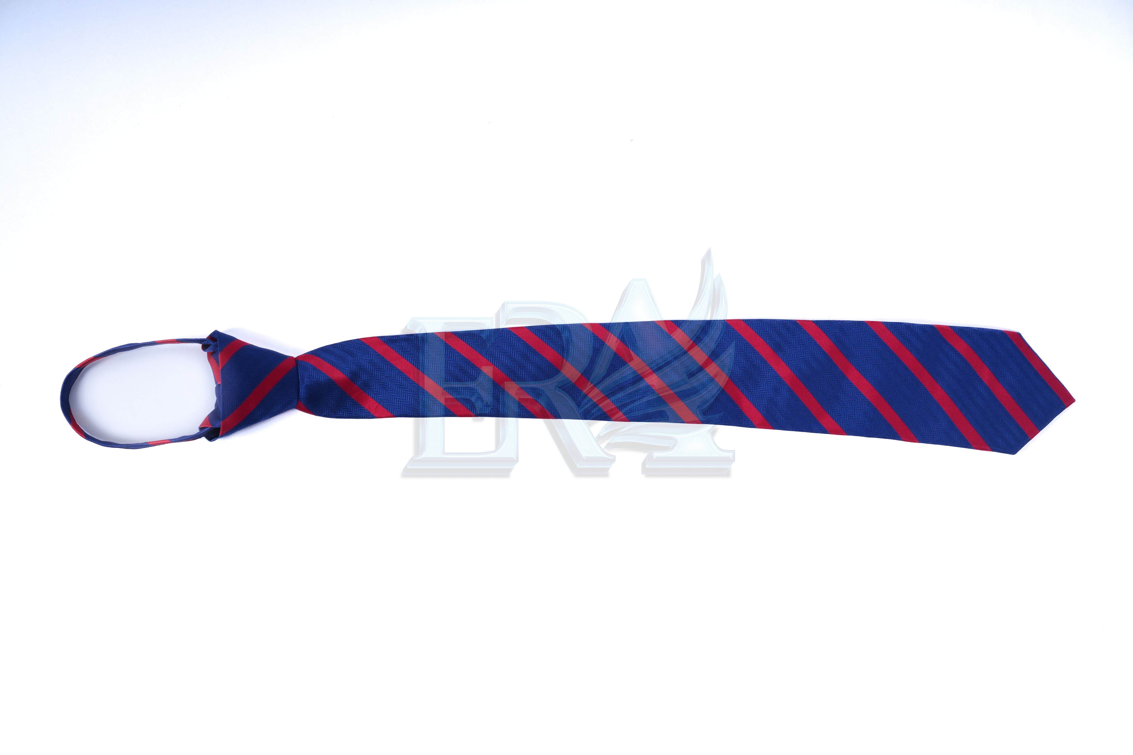 TNG02002.jpg