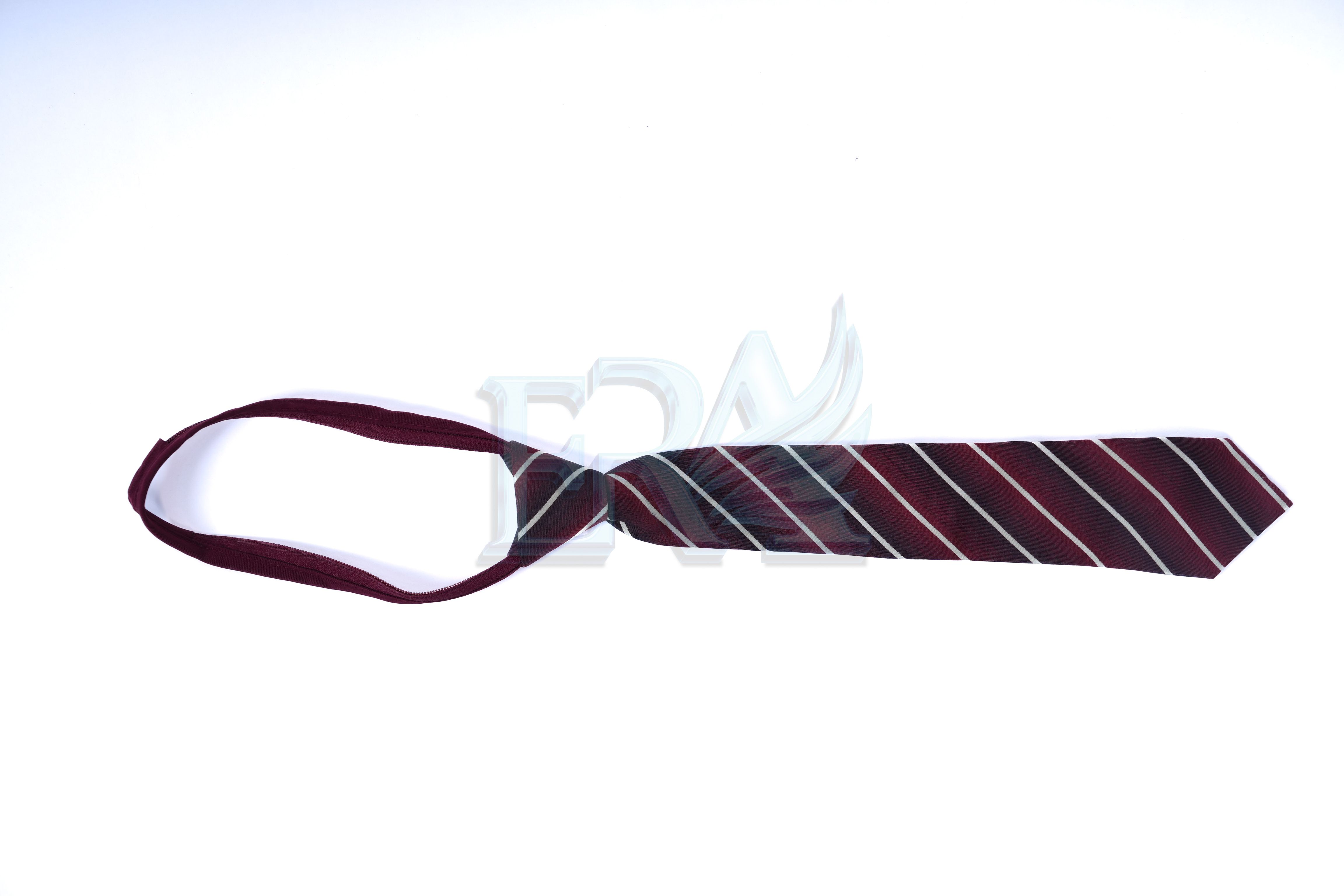 TNG02013.jpg