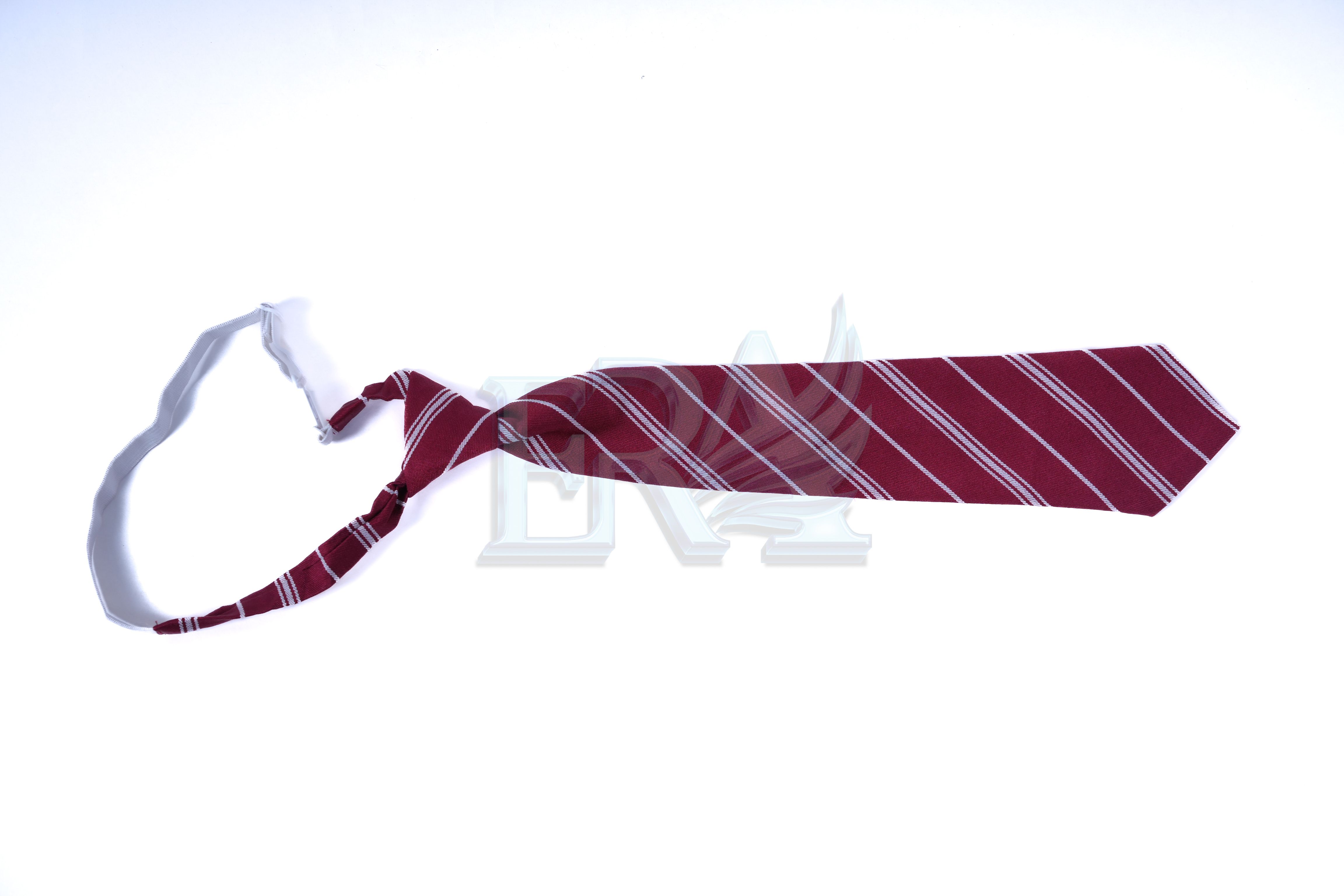 TNG02020.jpg
