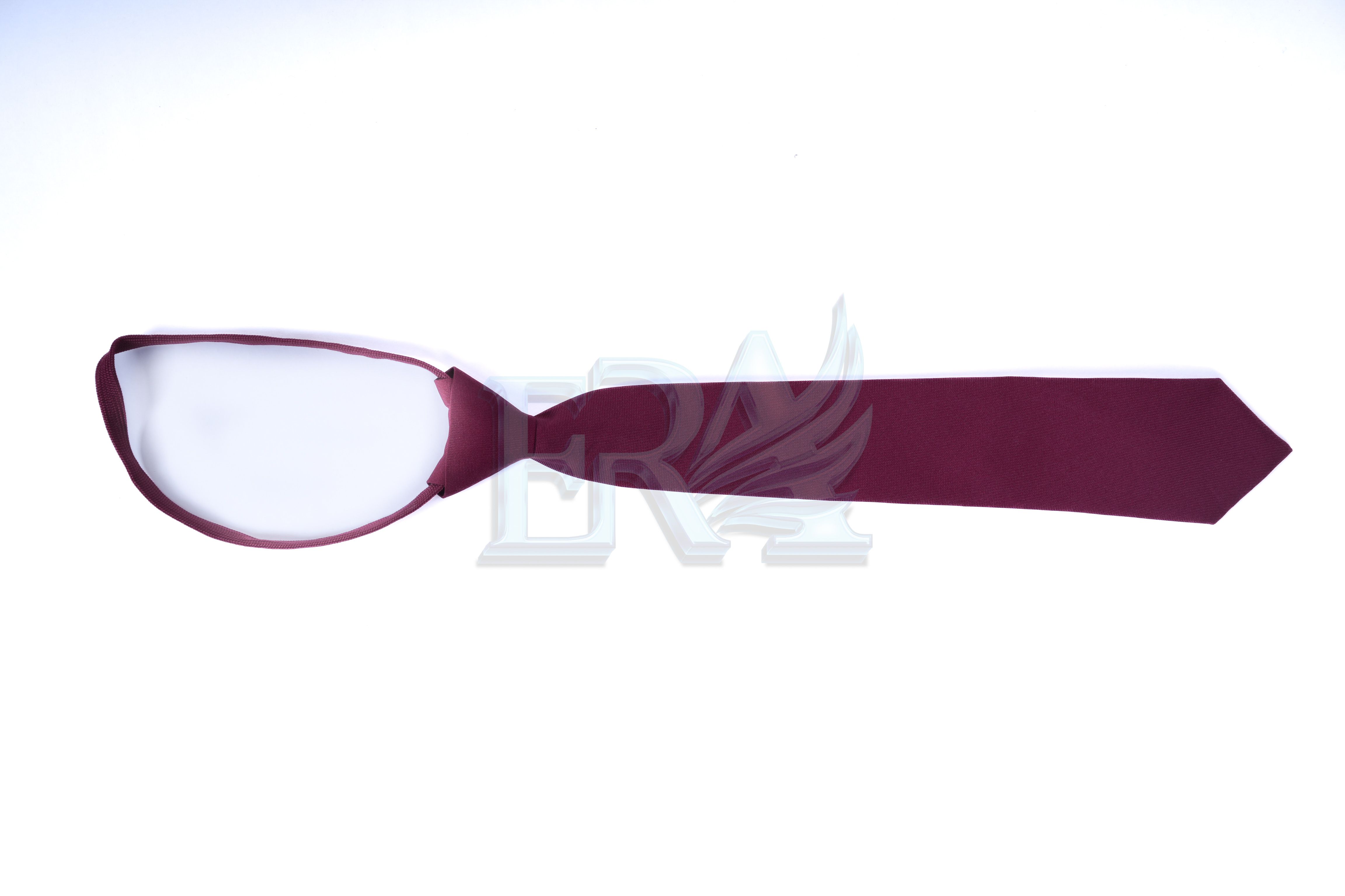 TNG02030.jpg