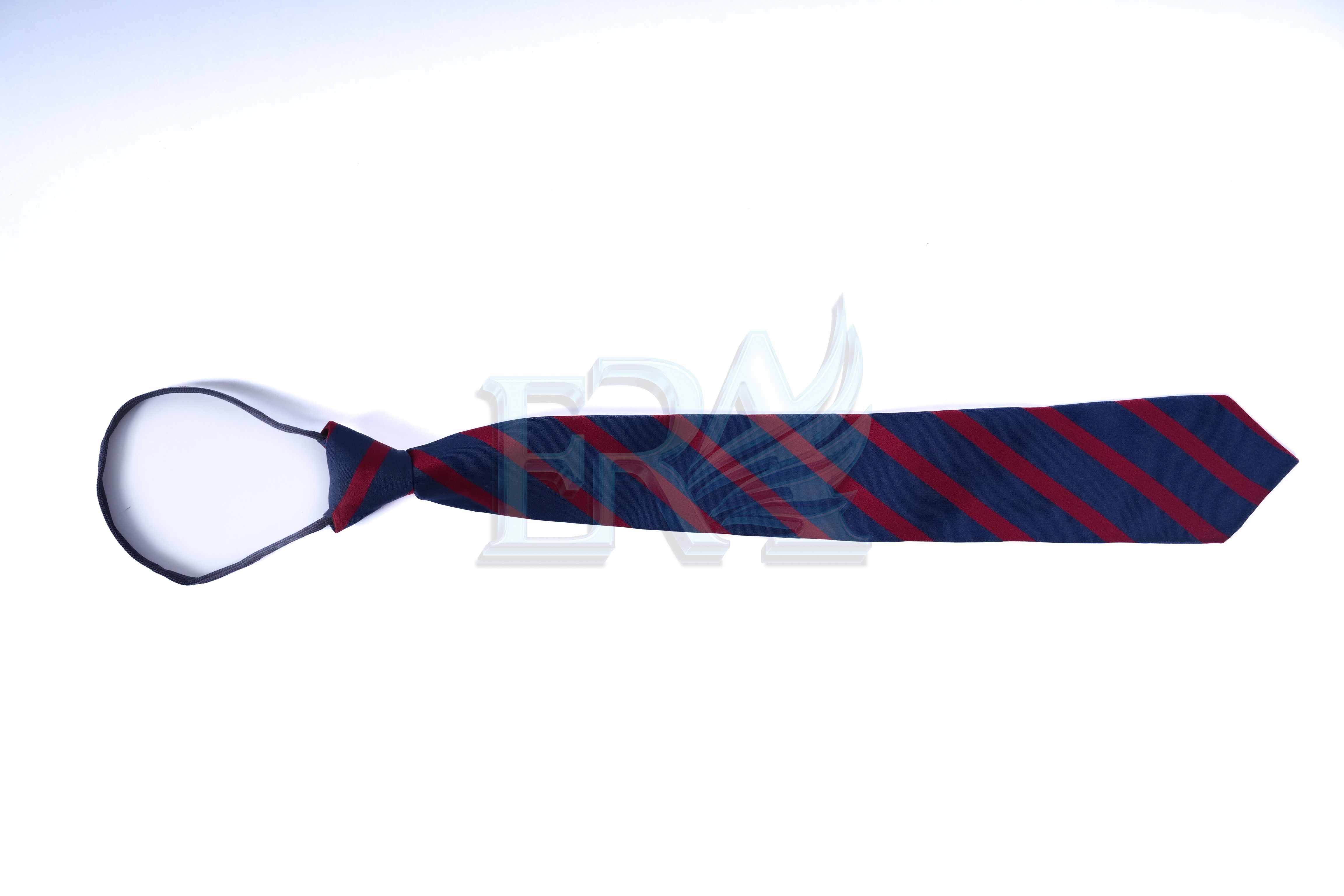 TNG02031.jpg