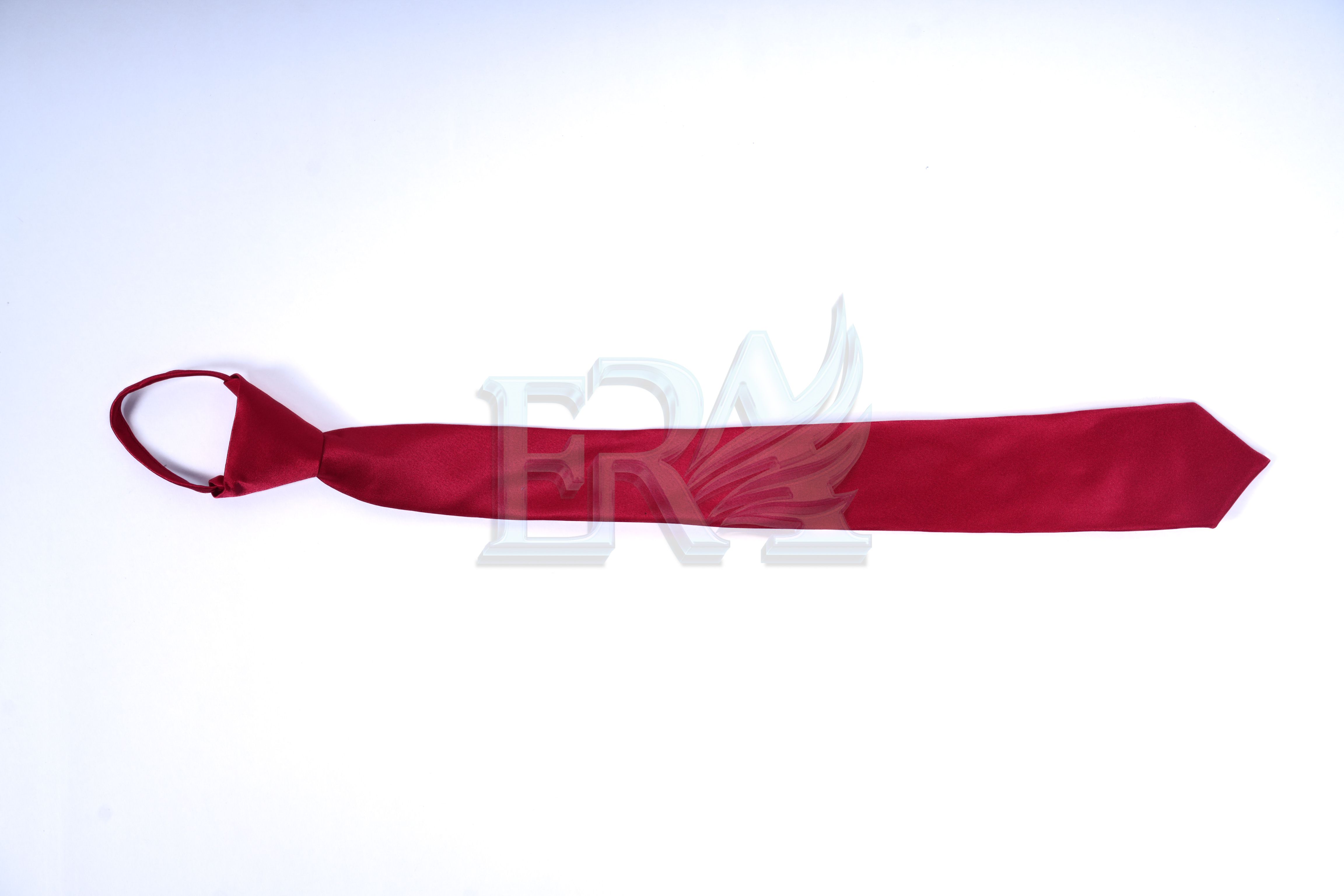 TNG02040.jpg