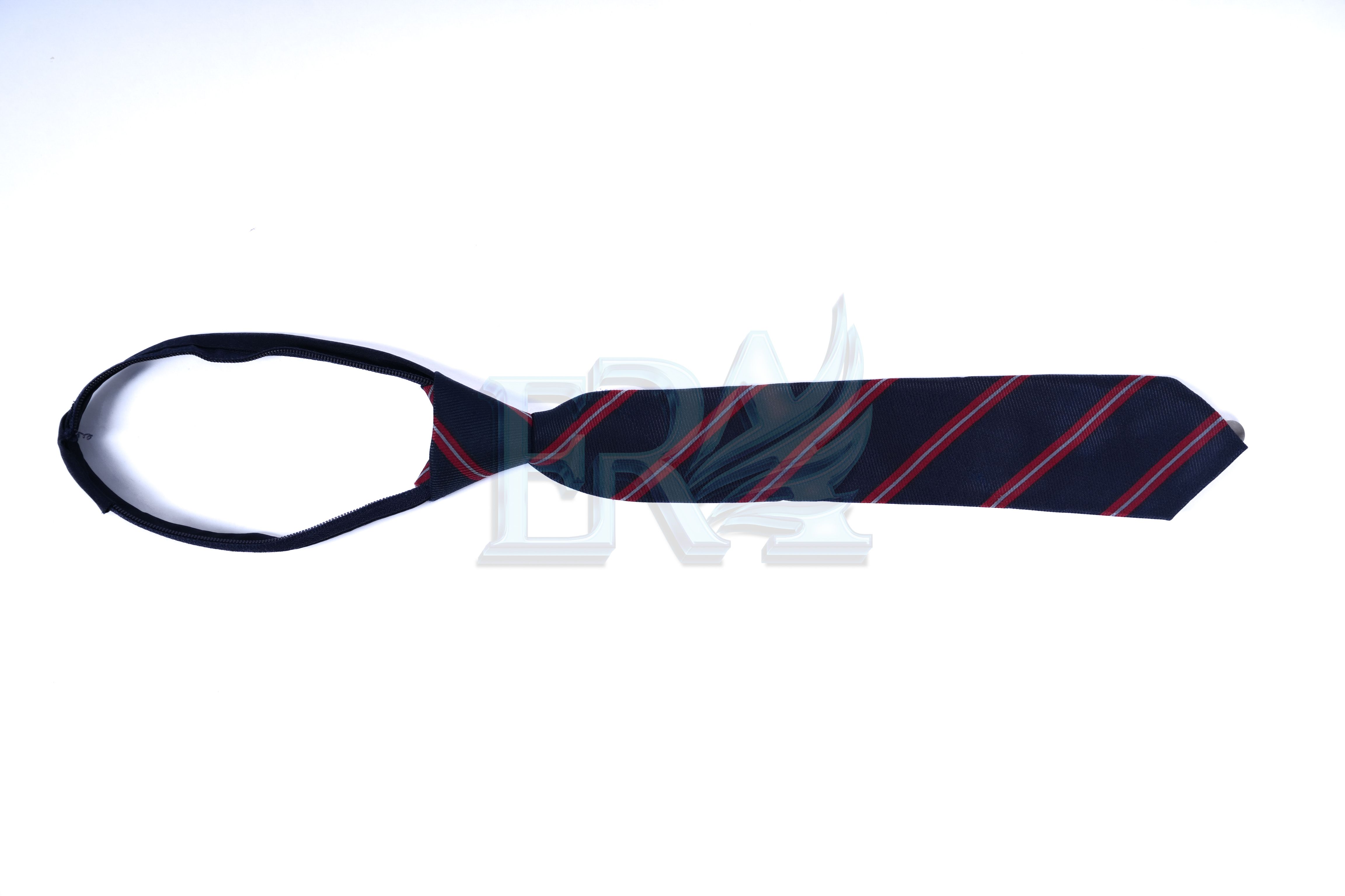TNG02070.jpg