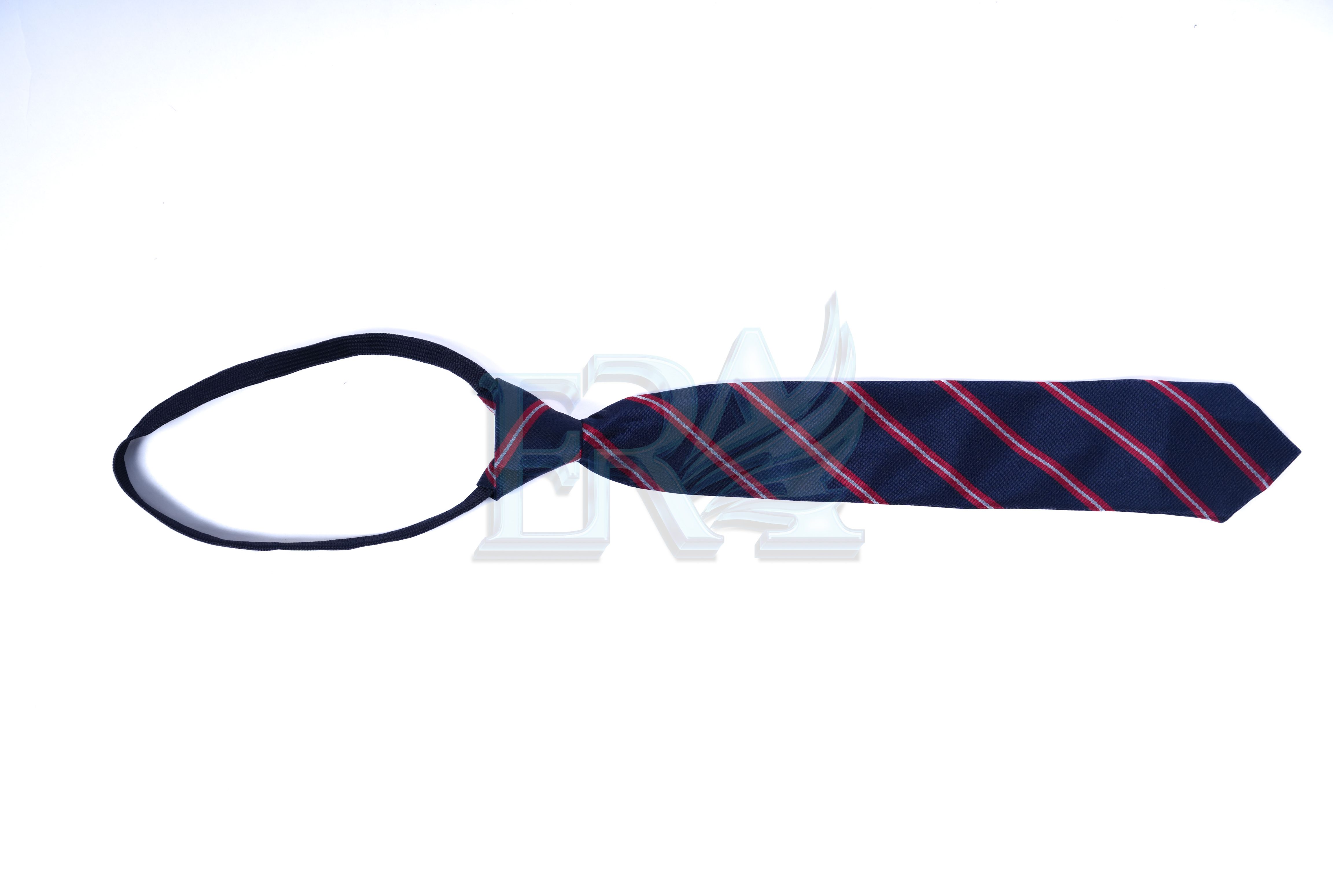 TNG02075.jpg