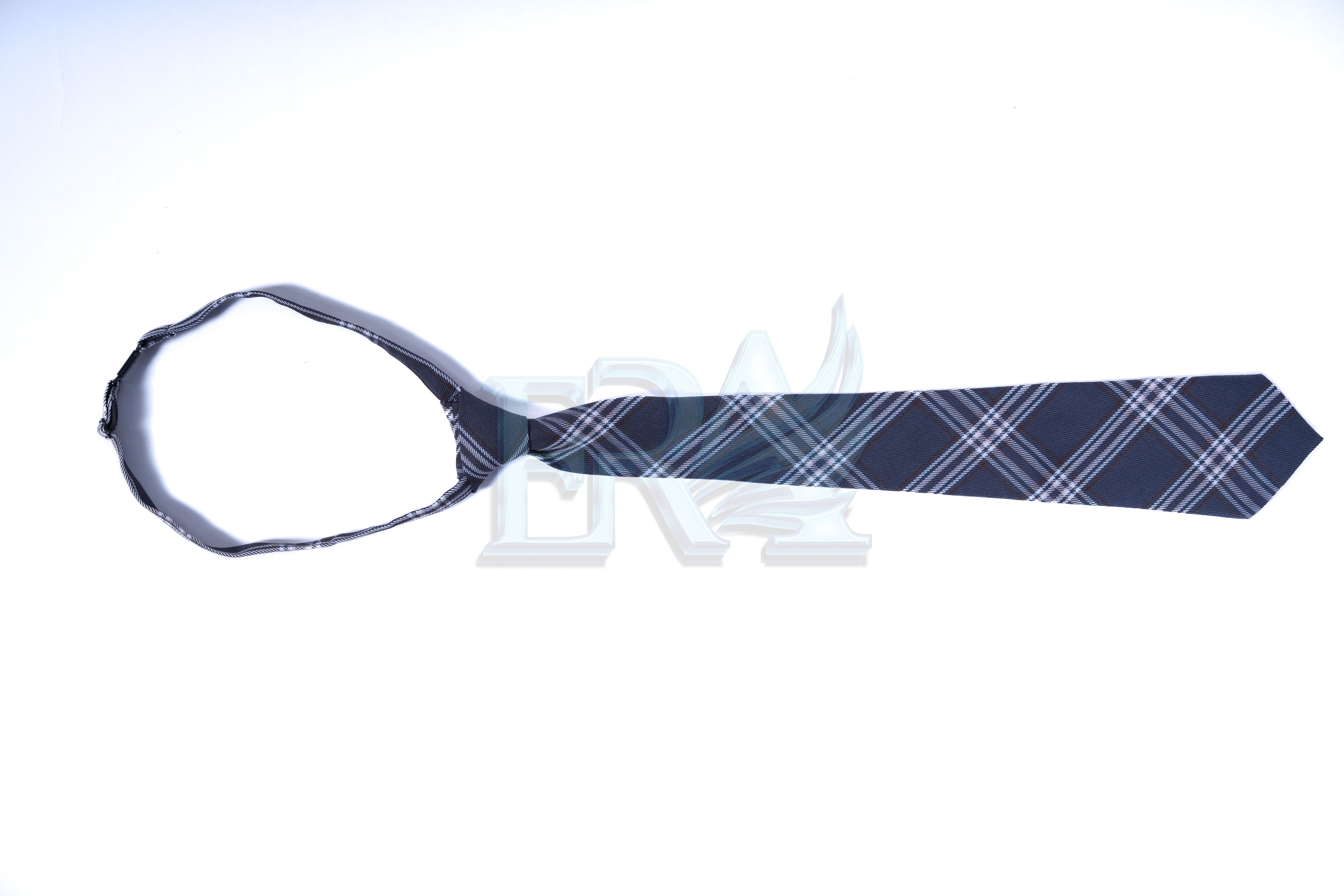 TNG02080.jpg