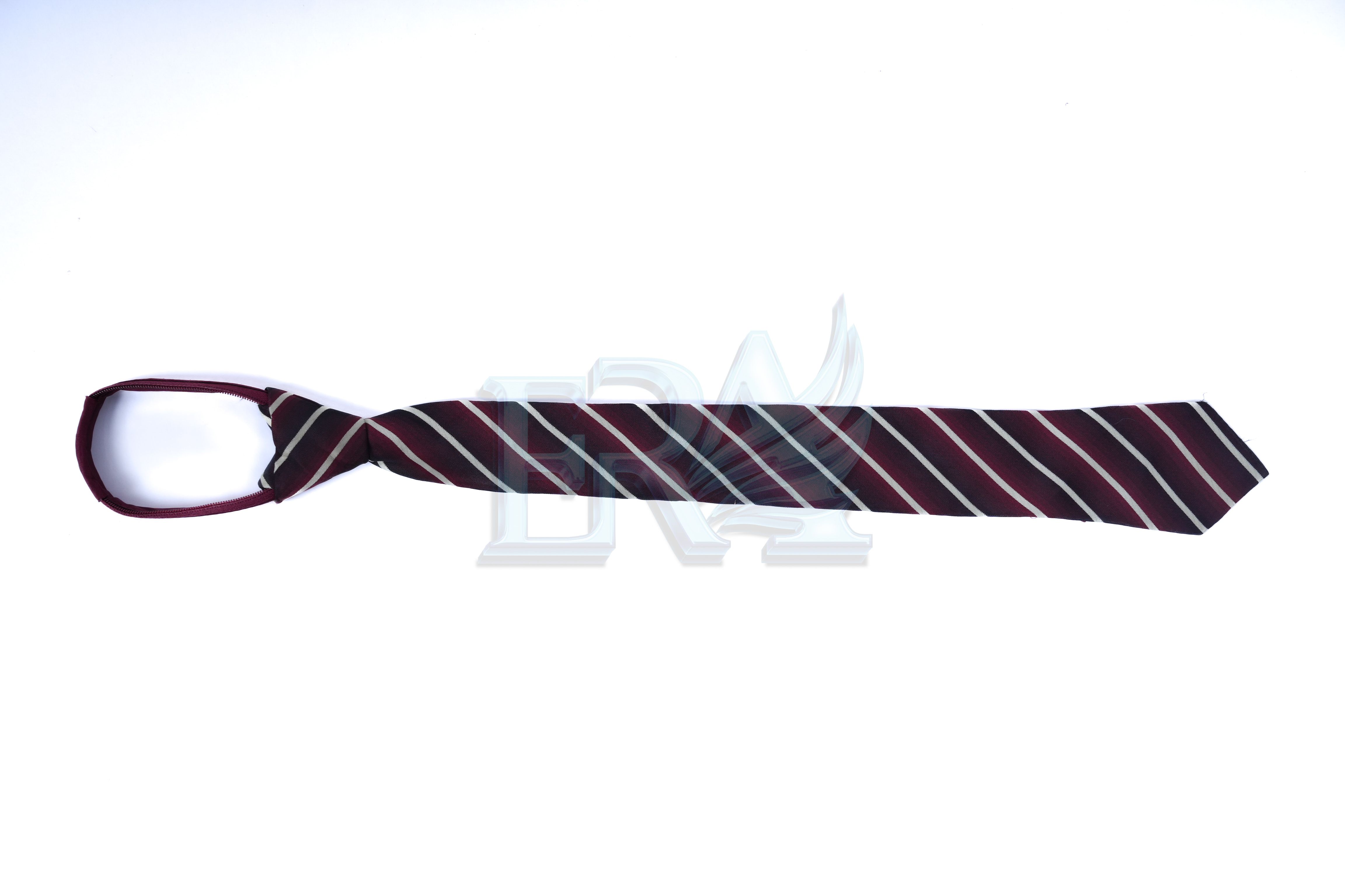 TNG02081.jpg