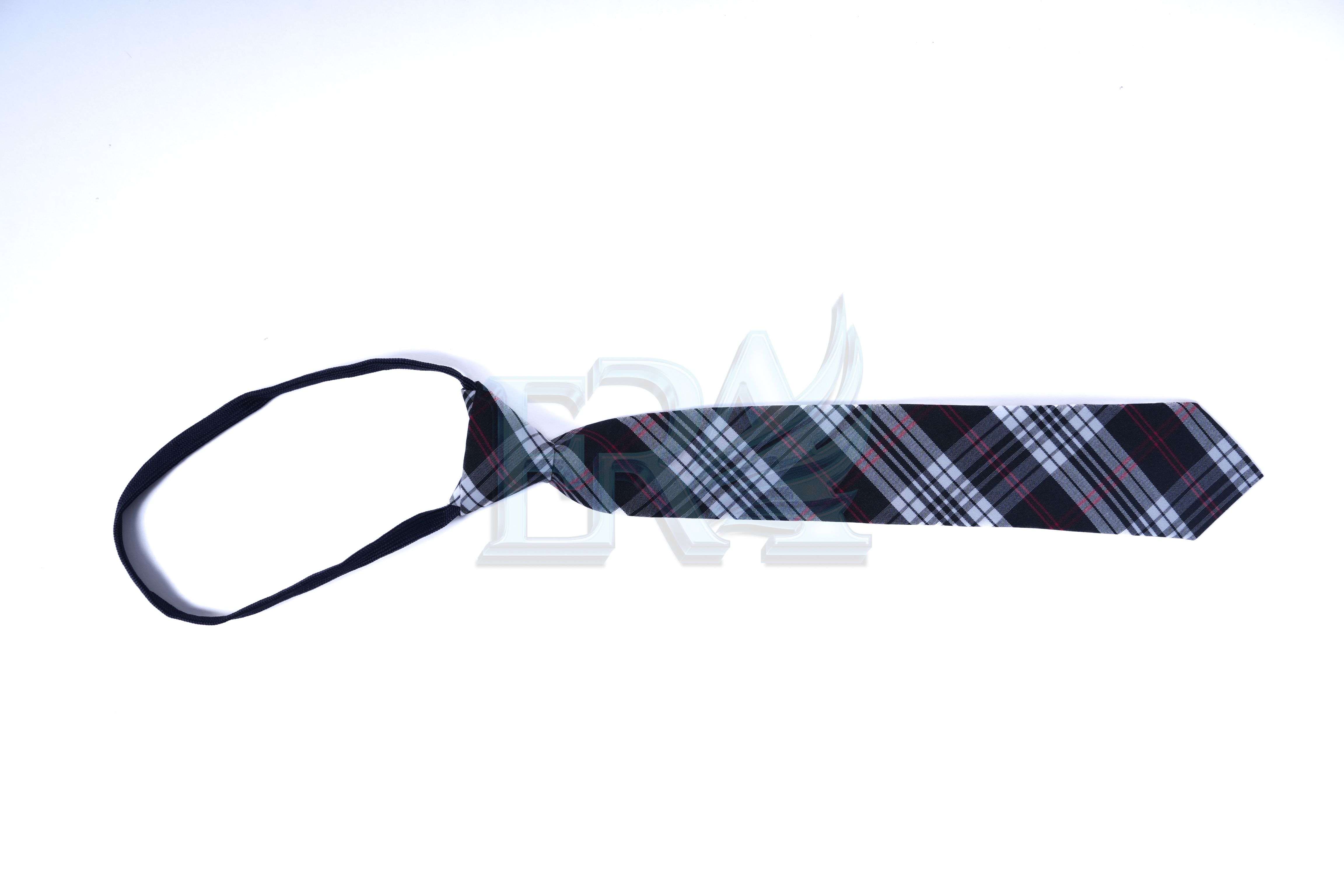 TNG02086.jpg
