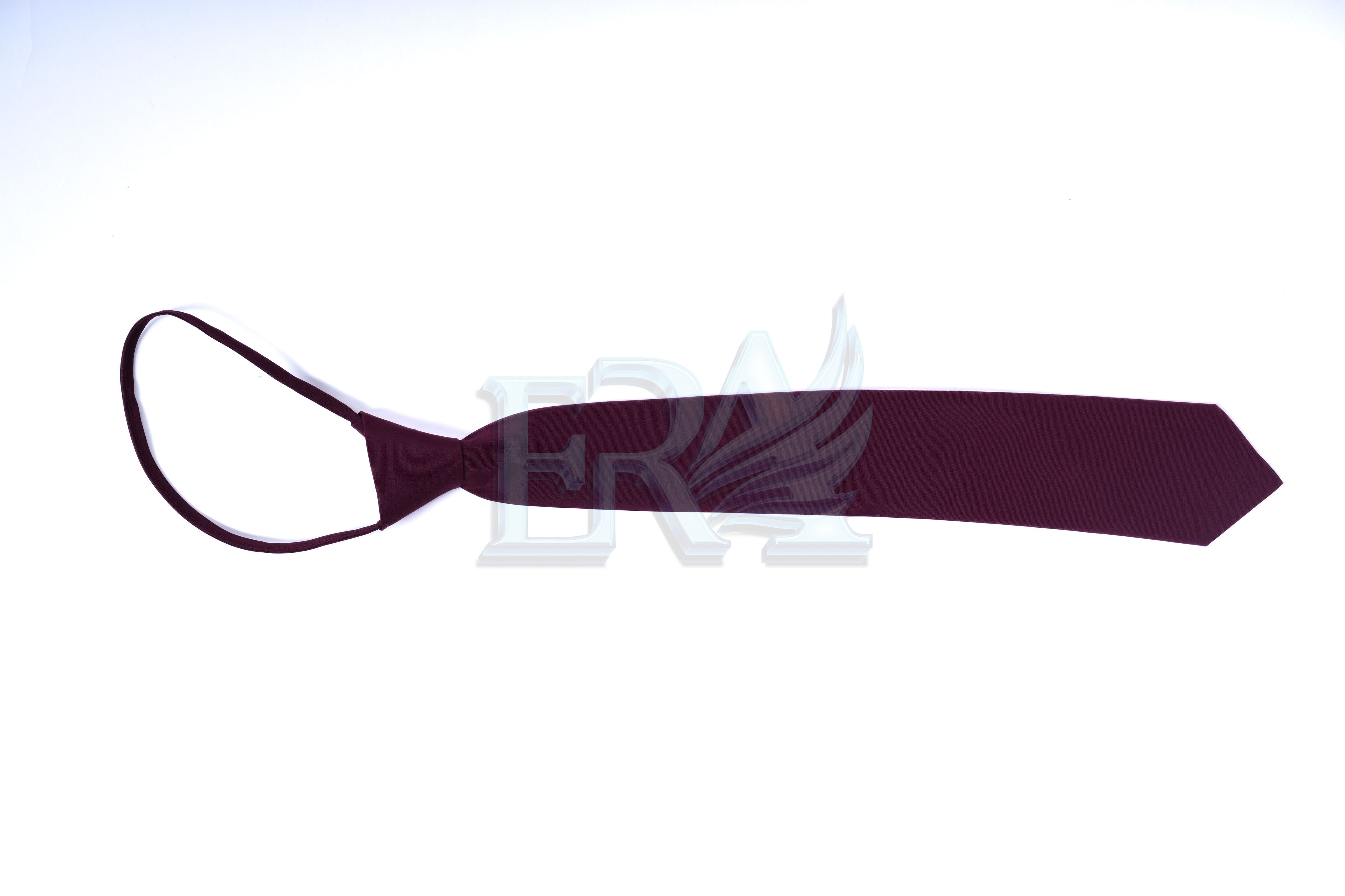 TNG02093.jpg