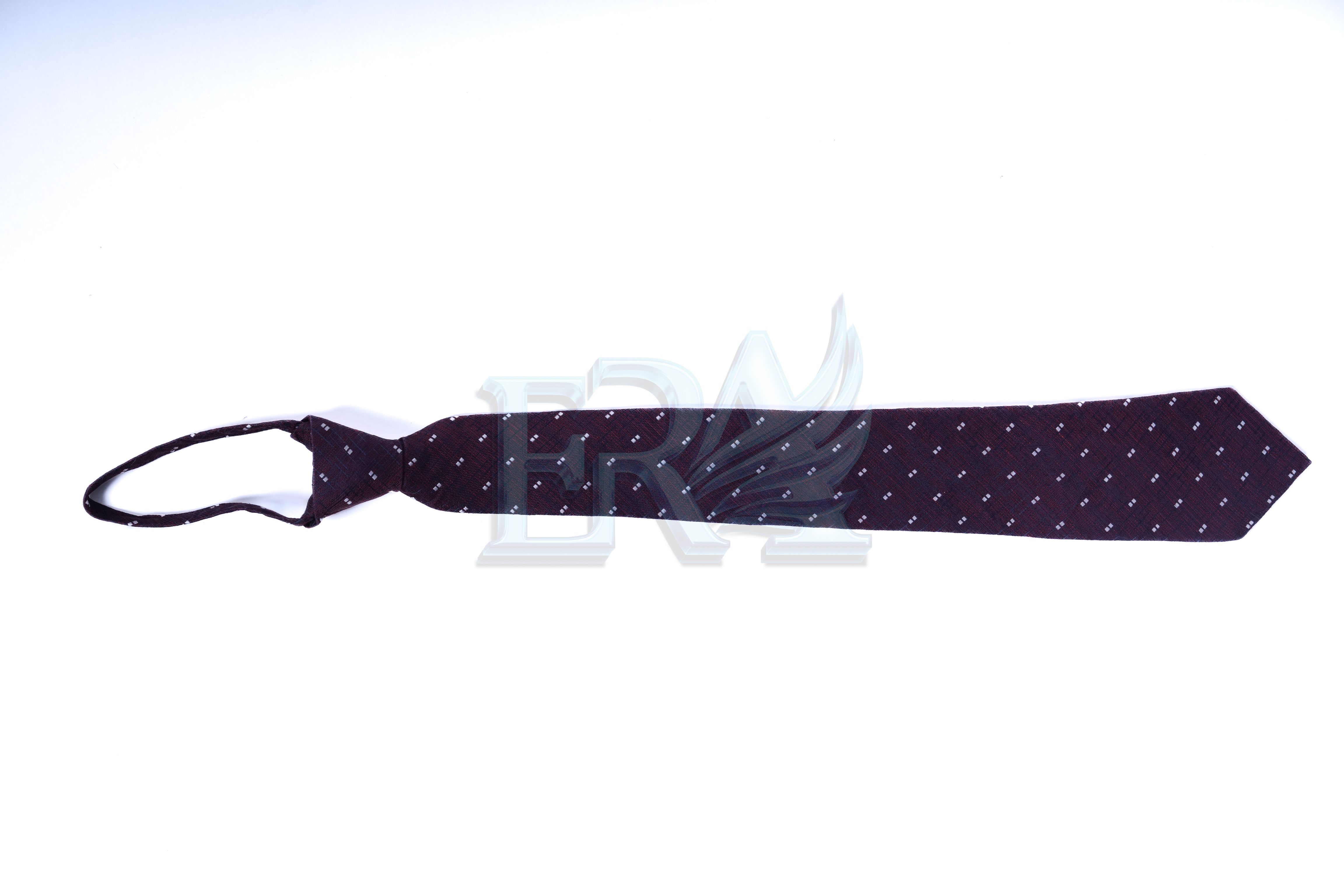 TNG02095.jpg