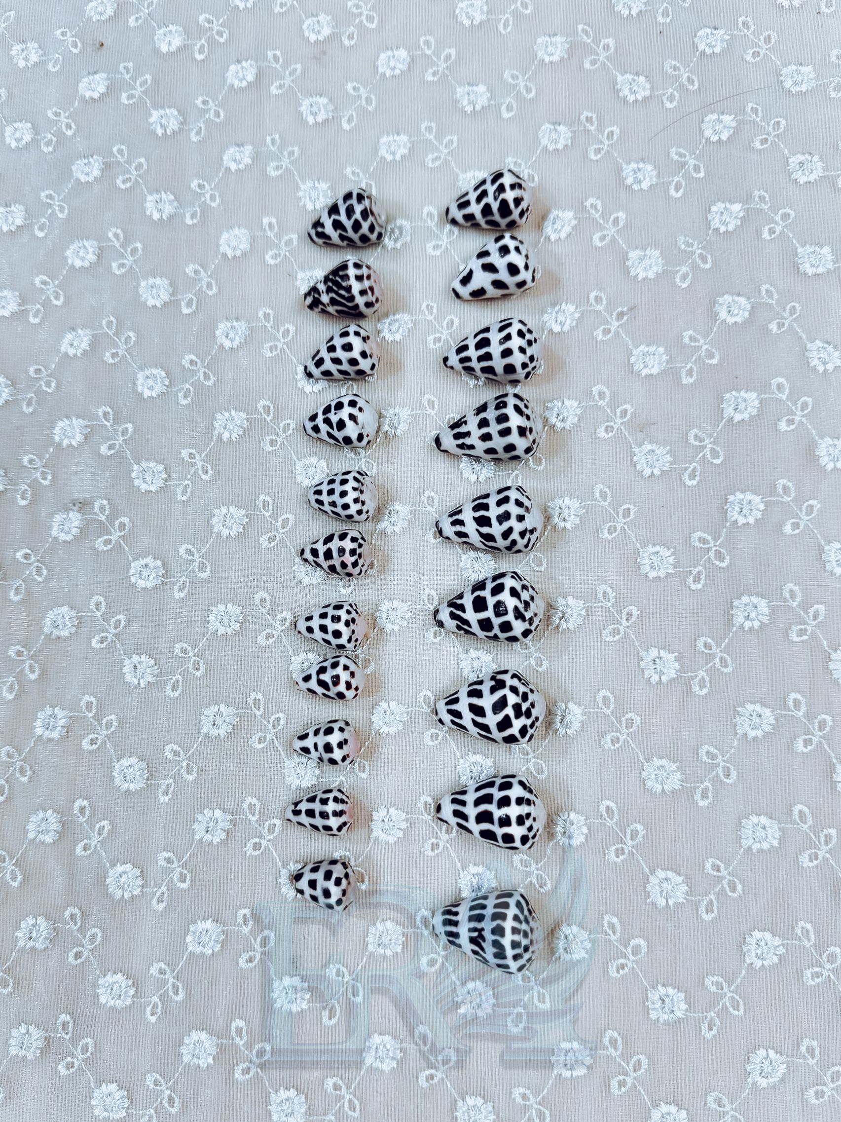 z7041016600610_589174be293aafccbcf3d2b7e021e985.jpg